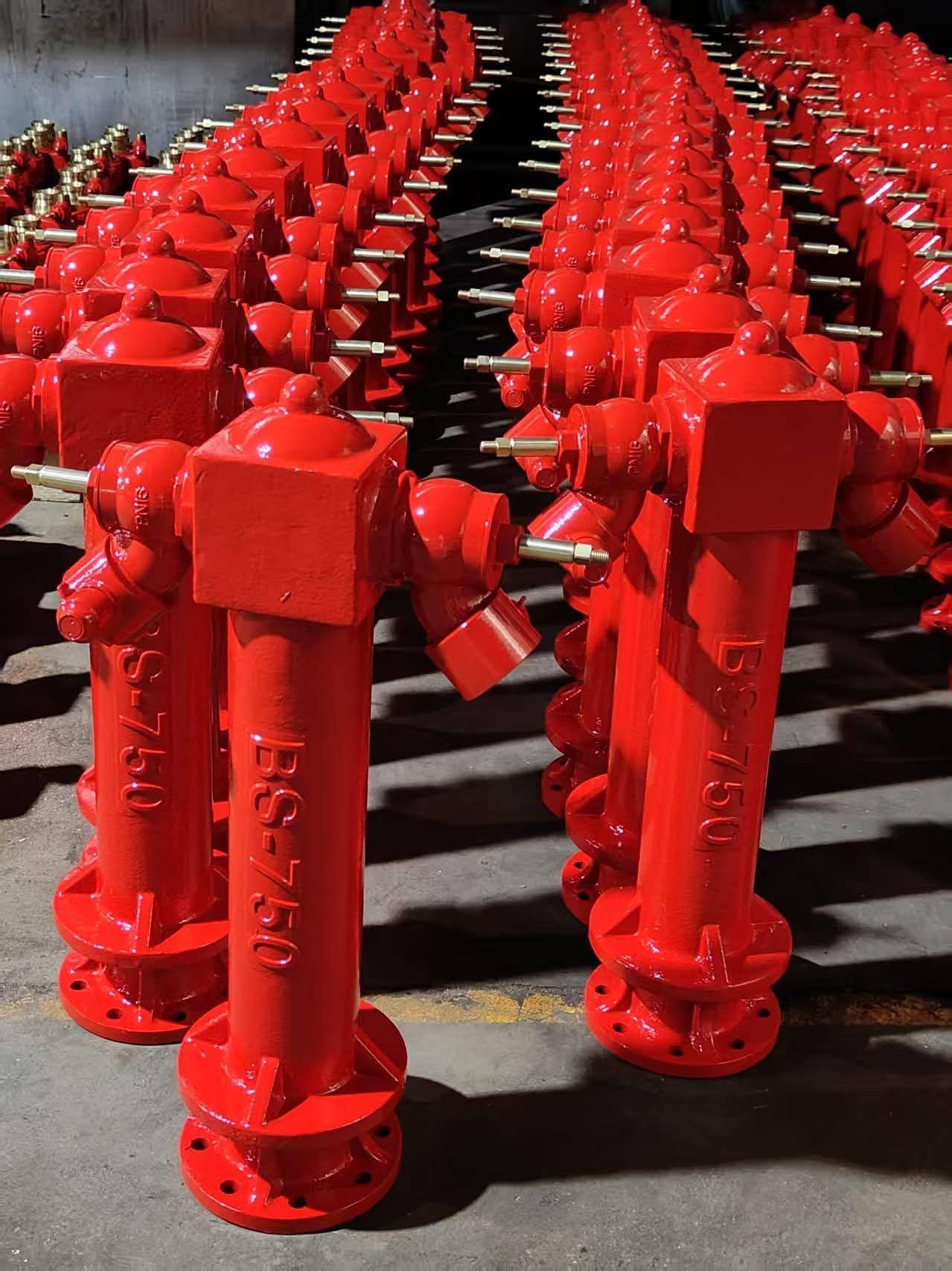 FB_IMG_1772524464084